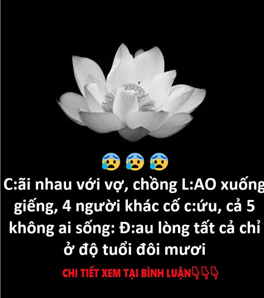 C:ãi nhau với vợ, người chồng 27 tuổi l:a:o x:u:ố:ng g:iếng –