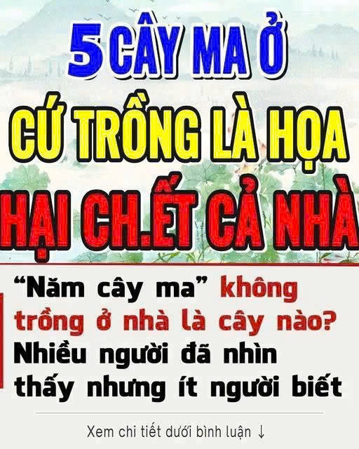 “Năm cây ma” không trồng ở nhà là năm loại cây nào? Ngoài đời nhiều người đã nhìn thấy nhưng ít